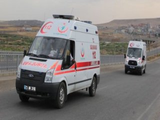 Namussuz Bunlar!