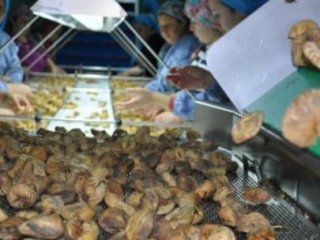 İnciri Süpermarketler İhya Etti