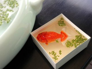 Sanki Canlı Gibiler