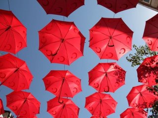 Muhteşem Görüntü