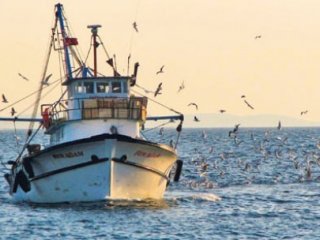 Marmara'da Balıkçılardan Kötü Haber