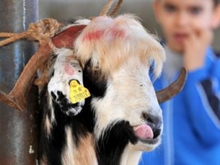 Bayram tatili ne zaman açıklanacak?