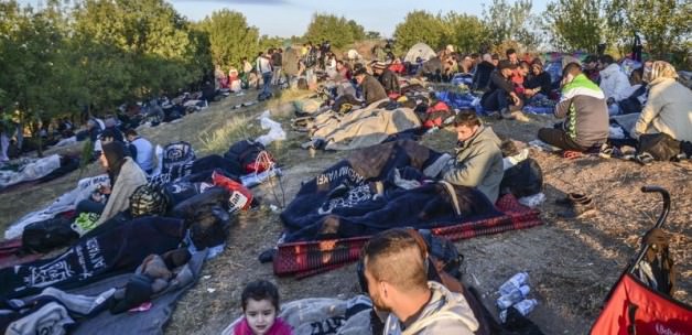Sığınmacılar Mardin'e Gönderilecek