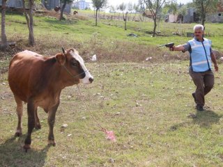 Yakalama Timi Göreve Hazır