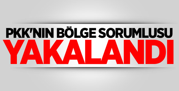 PKK'nın bölge sorumlusu yakalandı