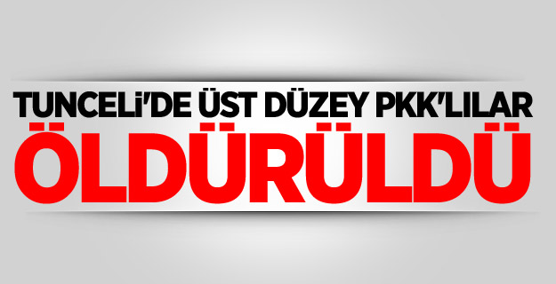 Tunceli'de üst düzey PKK'lılar öldürüldü