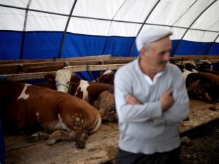 Tüm Kurbanlıklara Talip Oldular