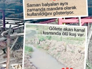 Başkent'te Halı Yıkama Rezaleti
