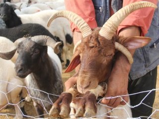 Bakanlar Dönüp Dönüp Bir Daha Bakıyor!