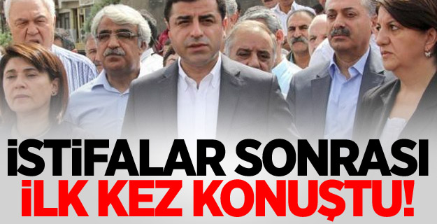 Demirtaş: Bakanların istifası partinin kararı