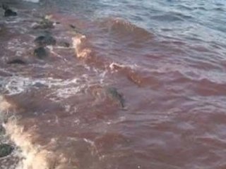 Yine Kan Gölüne Döndü!