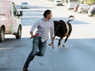 Boğa Eve Girince Olanlar Oldu