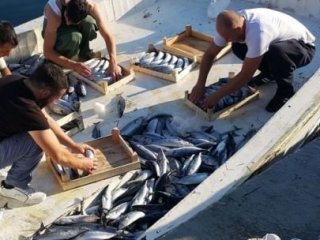 Palamut Avında Bayram Bereketi