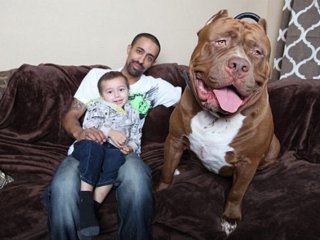 Dünyanın En Büyüğü!