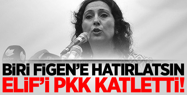 PKK Katletti, Yüksekdağ Devleti Suçladı!