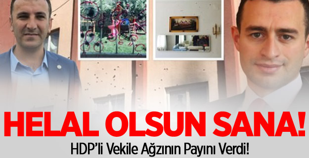 Kaymakam HDP'li vekile dersini verdi