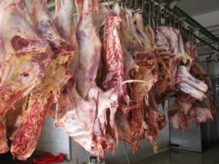 Kimse Kimseyi Kandırmasın! Köpek Dahi Yemez!