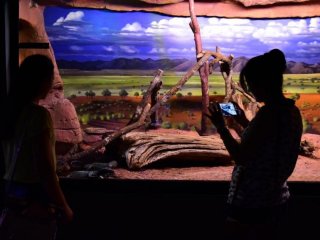 Görenler Telefona Sarıldı