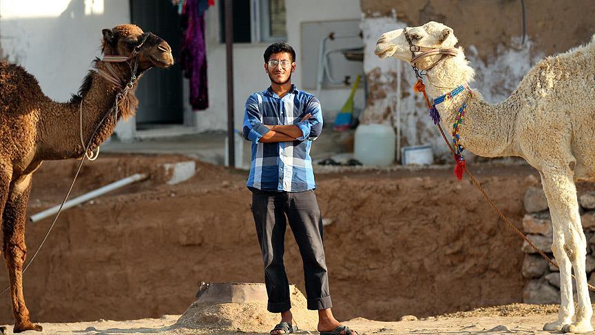 Kaçarken Getirdiği Develer 'Ekmek Kapısı' Oldu
