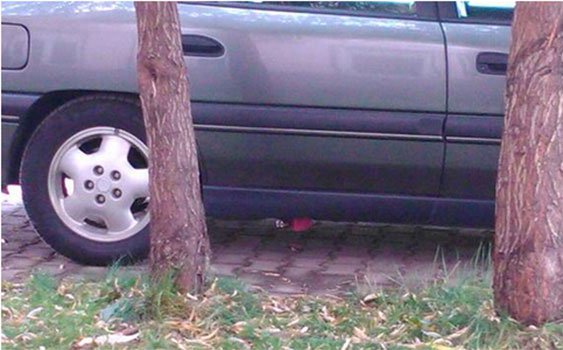 Kaymakama Bombalı Tuzak!