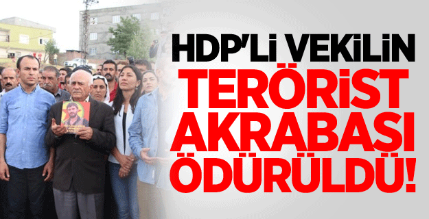 HDP'li Vekilin Terörist Kaynı Ödürüldü