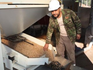 Fosil yakıta alternatif biokütle yakıt