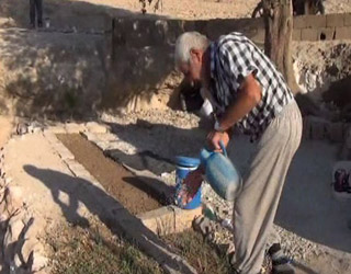 Tek Başına İlkel Yaşam