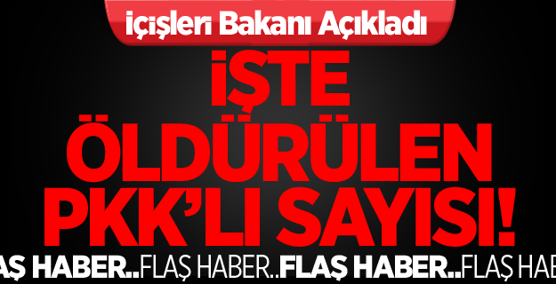 Kaç PKK'lı Öldürüldü!