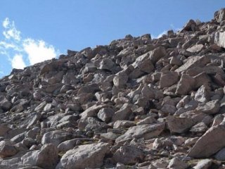 Onları Görmek Neredeyse İmkansız!