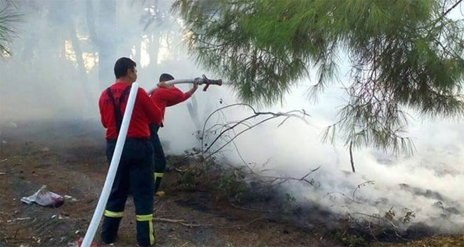 Savaştepe'de Orman Yangını