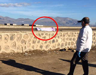 Duvar Üzerinde Bulunan Şoke Etti