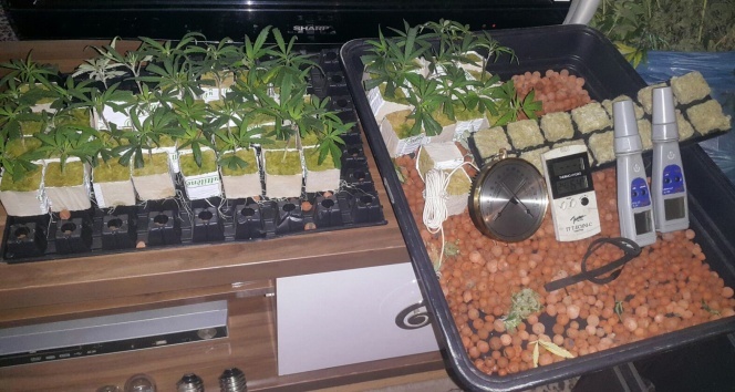 Nadir Bulunan Uyuşturucu Ele Geçirildi