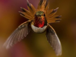 Güzelliğiyle Herkesi Cezbediyor