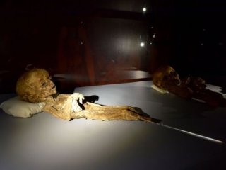 Ne Olduğunu Tahmin Bile Edemezsiniz