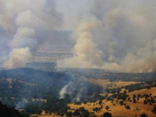 3 İlde PKK'ya Ağır Darbe!