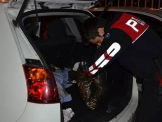 Kocaeli’de  5 Milyon Dolarlık  Selenyum 74 Maddesi Ele Geçirildi