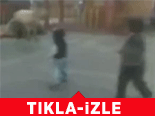 Küçük Çocuğa Böyle Saldırdı