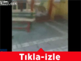 Çocuğa Aslan Saldırısı Kamerada