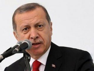 Erdoğan'dan Rusya'ya Kırmızı Halı Tepkisi