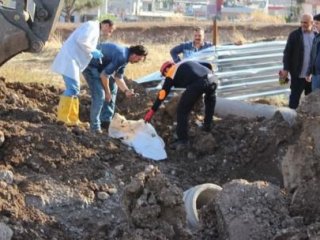 Kurtarmak isterken başını parçaladı