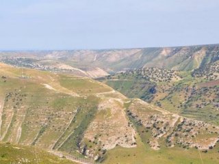 Filistinli Bir Genç Paraşütle Suriye'ye Geçti