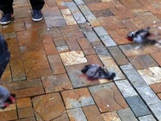 İzmir'i Ayağa Kaldıran Olay!