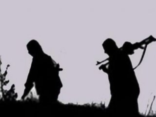 Şırnak'ta 8 Terörist Teslim Oldu