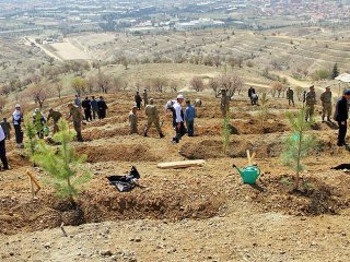 Erozyonla Mücadelede Büyük Başarı