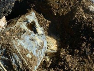 Askere hain tuzak son anda fark edildi!