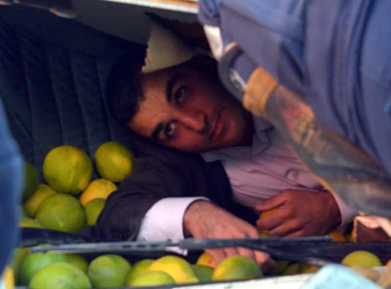 Portakalllar Arasında Can Pazarı