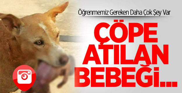 Çöpe Atılan Bebeği...