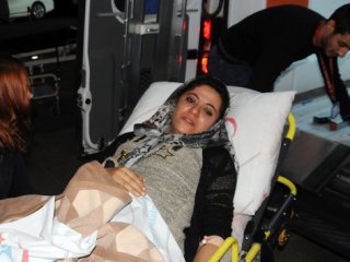 Köpekler Saldırdı!