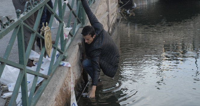 Güvercin İçin Seferber Oldular