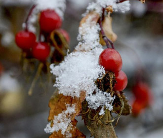Ardahan ve Kars'a Kar Yağdı